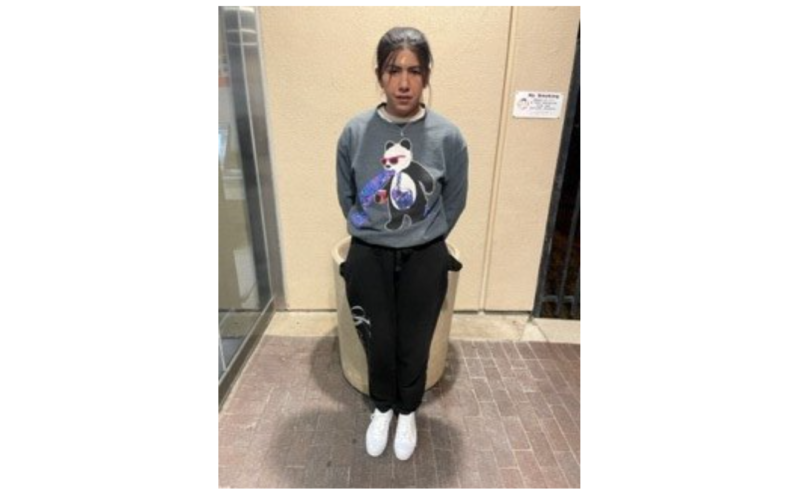 Wanted Kidnapping Suspect Reportedly Turns Herself In