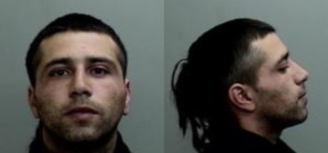Mendocino County man accused of assaulting partner
