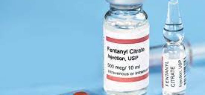 Woman Booked for Burglary, Fentanyl and Vandalism