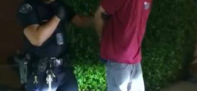 Colton man admits to multiple vehicle burglaries in Irvine