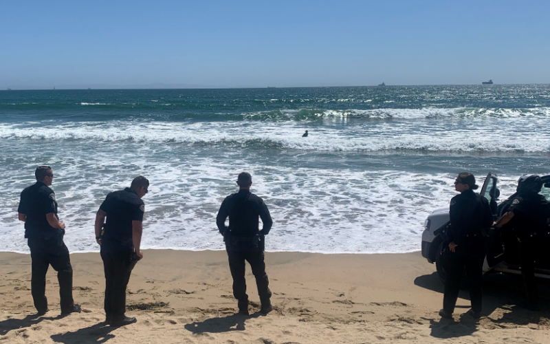 Police: Robbery suspects arrested; one allegedly tried escaping into the ocean