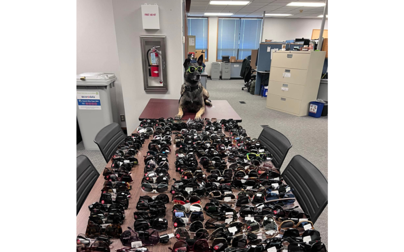 Three arrested after allegedly shoplifting Napa Sunglass Hut, leading police pursuit all the way to SF