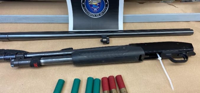 Police Arrest Man for Alleged Domestic Violence, Gun Charges