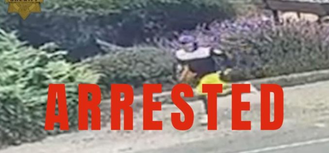 Man arrested for allegedly stealing elderly woman’s purse in Watsonville