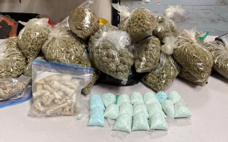 Narcotics Arrest in Paso Robles