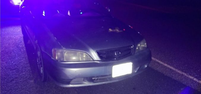 Woman Allegedly Tries to Give Deputy Someone Else’s ID During Traffic Stop