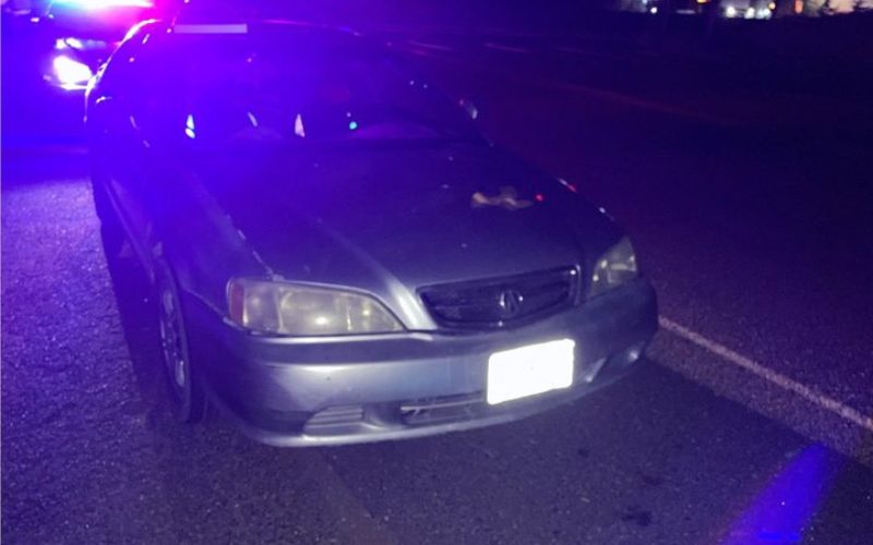 Woman Allegedly Tries to Give Deputy Someone Else’s ID During Traffic Stop