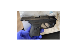 Traffic Stop Reportedly Ends with Drugs and Gun Bust