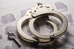 Petaluma Police Make Two Separate Arrests for Alleged Possession of CSAM