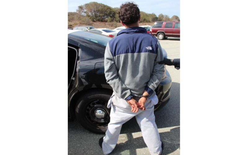 93-Year-Old Woman Reportedly Injured During Carjacking, Suspect Arrested