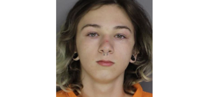 Report: Pennsylvania Teen Allegedly Murdered Girl, Asked for Help Disposing of Body