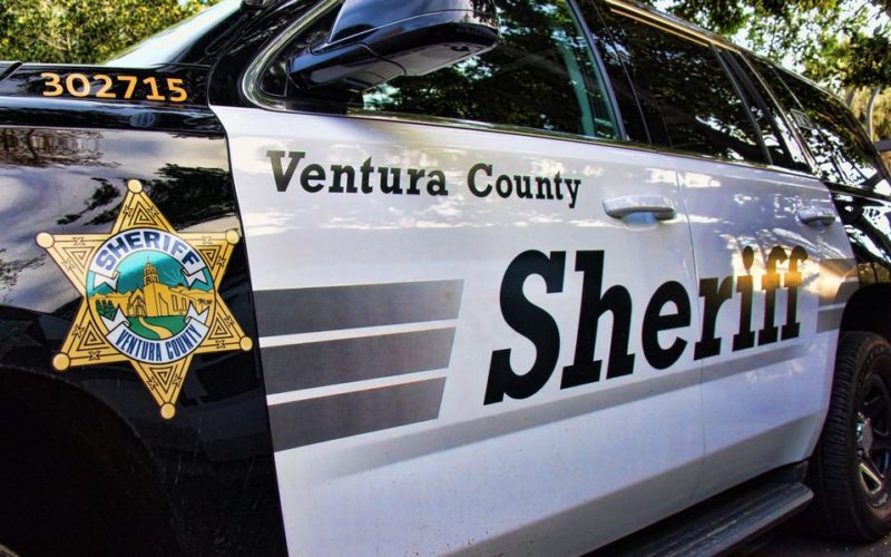 Half-million-dollar Bail for Child Predator