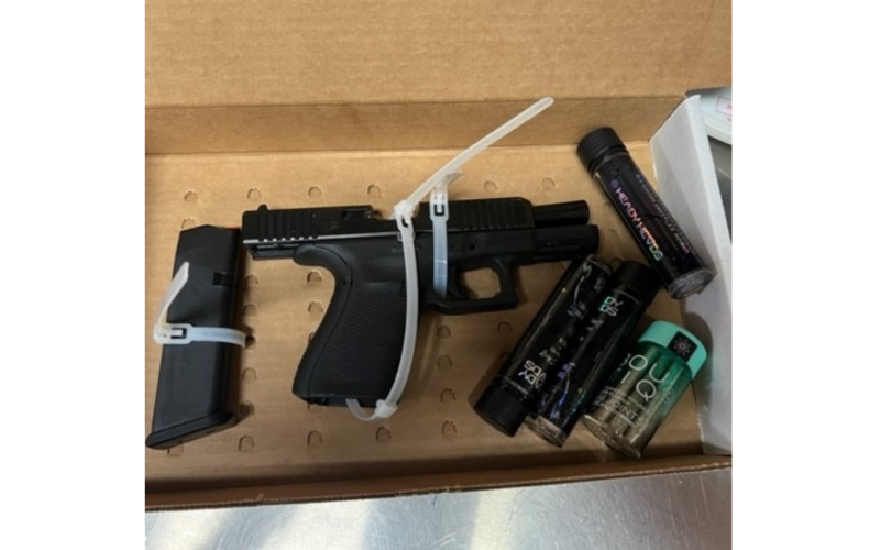 Solano County Man, 18, Reportedly Caught with Loaded Gun, Marijuana