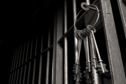 Thousand Oaks Gang Fight Leads to Six Arrests