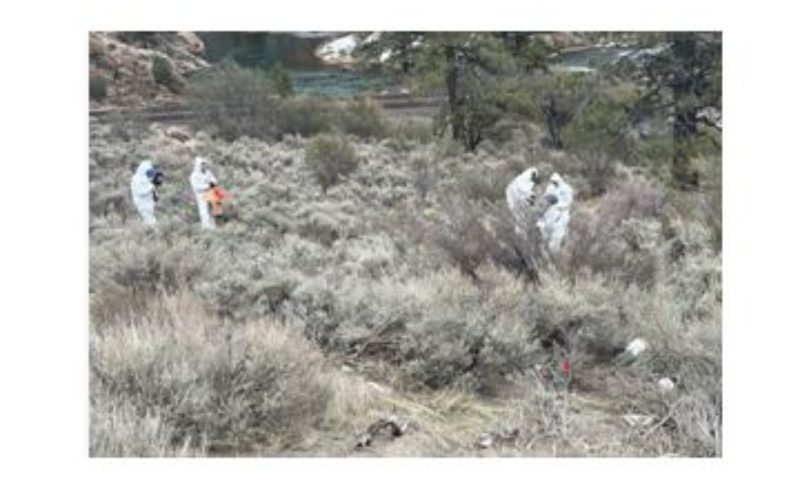 Unidentified Human Remains Found in Nevada County