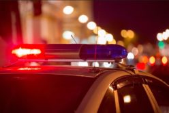 K9 assists in Narcotics Arrest