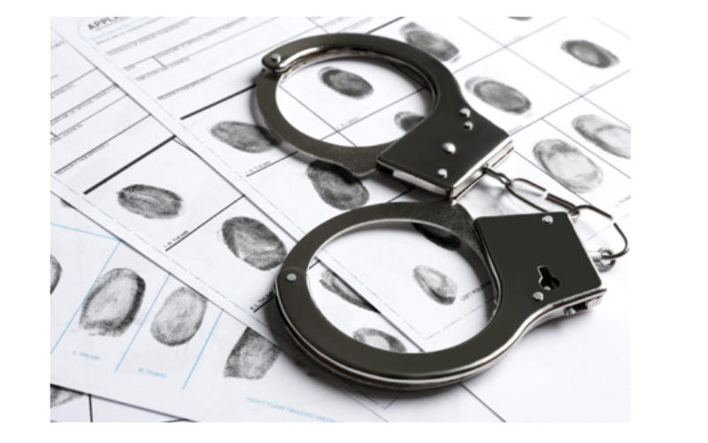 Robbery, Sexual Assault Arrest