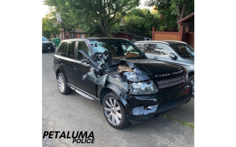 Petaluma Police Make Arrest in Connection with Hit-and-Run on Payran Street