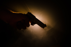Napa Police Department Responds to Double Homicide and Swiftly Apprehends Suspect