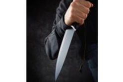 Intruder Arrested at Fairlands Elementary School, Knives Recovered