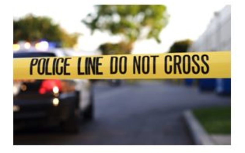 Homemade Explosive Device Investigation