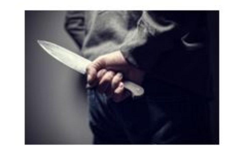 Stabbing at Albert Park in San Rafael:  Suspect in Custody