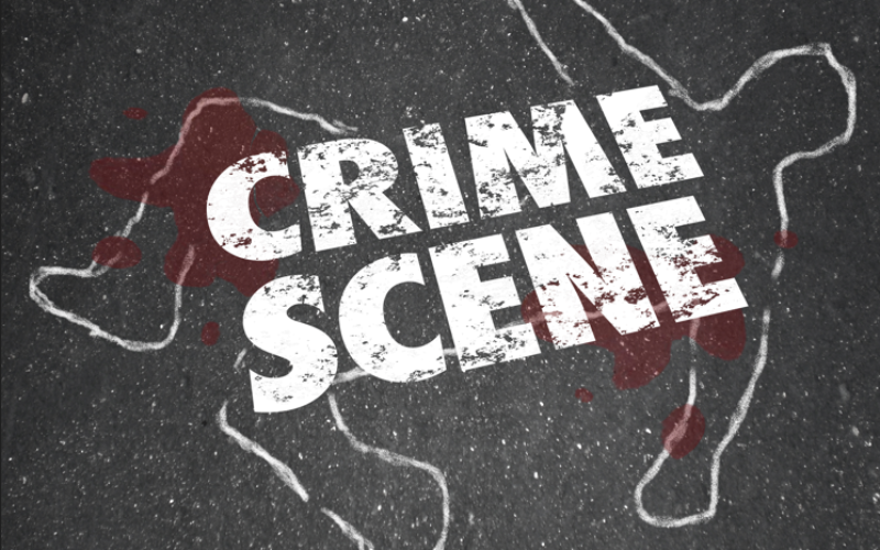 Clearlake Police Apprehend Homicide Suspect After Standoff