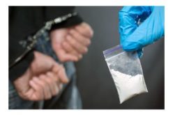 Avocado Thief Busted with Meth