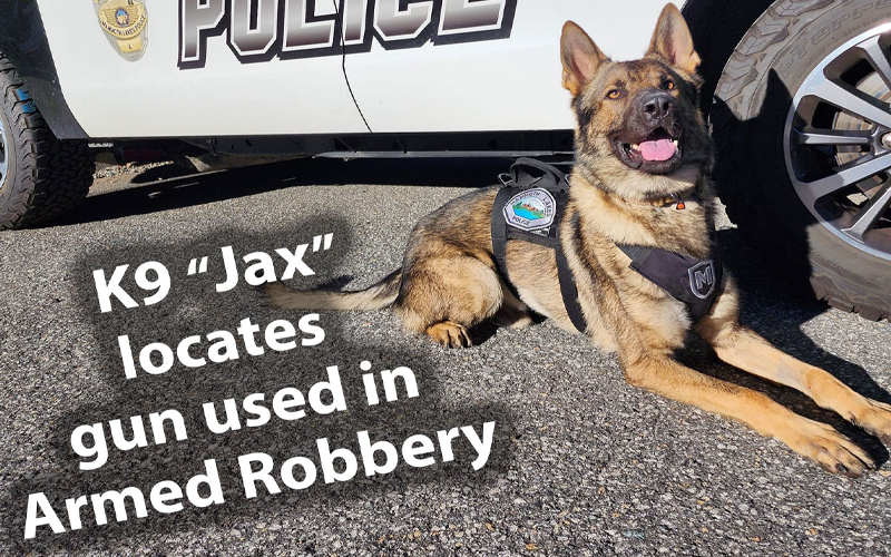 Mammoth Lakes Police K9 Assists in Armed Robbery Investigation and Arrest
