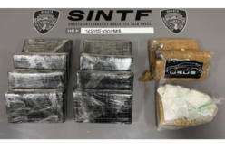 Shasta County Authorities Reportedly Seize Over 25 Pounds of Cocaine During Traffic Stop