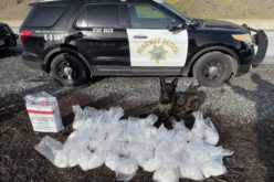 K9 Unit Detects Major Drug Haul in Traffic Stop: 48 Pounds of Meth and 2 Pounds of Fentanyl Seized