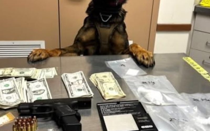 Drugs and a Loaded Firearm Found during a Traffic Stop