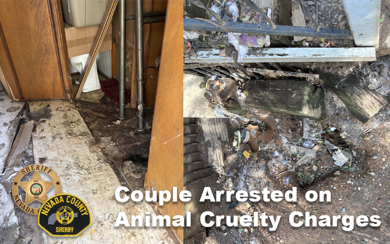 Grass Valley Couple Arrested on Animal Cruelty Charges; 18 Dogs Rescued