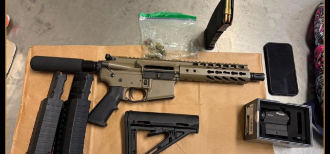 Felon Released From Court – Despite Felony Firearms Charges