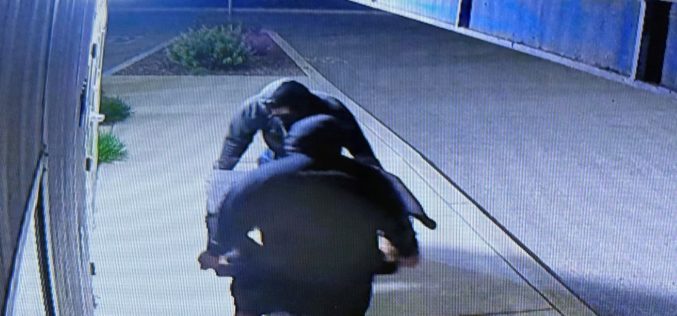 Two Rabbits Reportedly Abandoned Outside Hollister Animal Shelter, Police Investigating