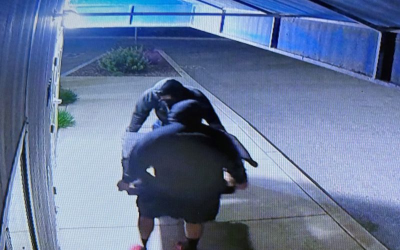 Two Rabbits Reportedly Abandoned Outside Hollister Animal Shelter, Police Investigating