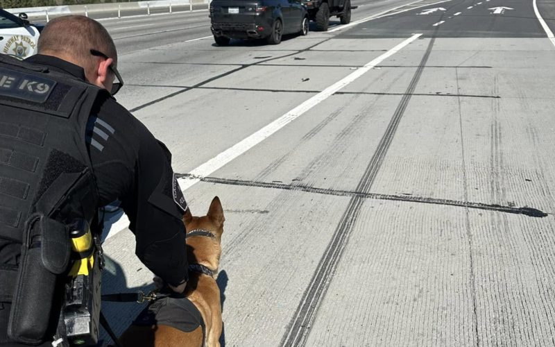 Driver of Stolen Vehicle Reportedly Arrested After Police Pursuit in Garden Grove