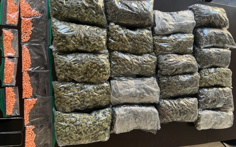 “Small Amount” of Marijuana? South Carolina Man Busted in Auburn with 21 Bags and Counterfeit Adderall