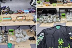 Traffic Stop Leads to Arrest for Narcotics and Cannabis Sales in San Benito County
