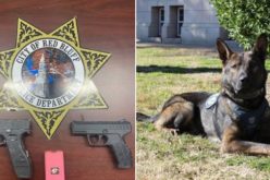 Red Bluff Police Apprehend Fugitive with Help of K-9, Preventing Potential Lethal Encounter