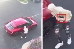 Tiburon Armed Robbery Suspect Arrested in Colorado