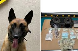 Monterey County Deputies Arrest Man for Narcotics Sales and Outstanding Warrants