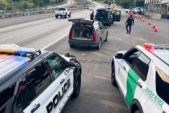 Suspect Arrested Following Vehicle Pursuit Linked to Multiple Thefts
