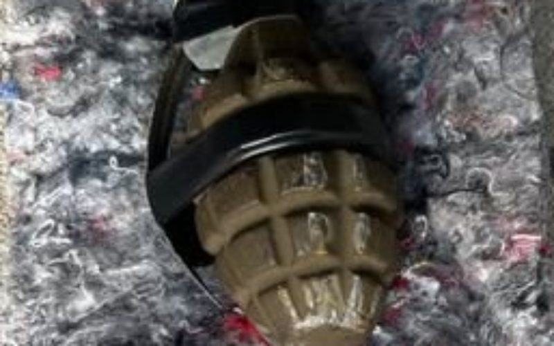Suspect Arrested for Stealing a Car and Throwing a Grenade