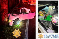 San Jose Driver Arrested for Drug-Impaired Driving After Crashing Into Tree on Highway 9