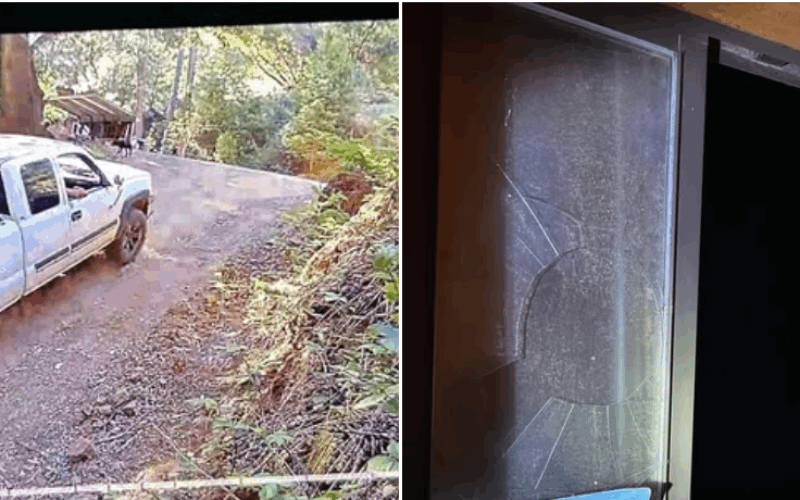Pine Grove Burglary Suspect Caught After Reporting His Own Theft
