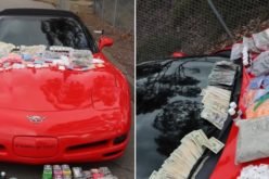 Carlsbad PD’s Vice & Narcotics Intelligence Unit Uncovers Major Drug Trafficking Operation
