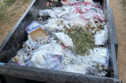 Massive Cannabis Busts Across Nevada County