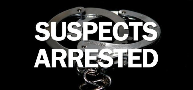 Four Arrested for Alleged Burglary, Grand Theft in Cloverdale