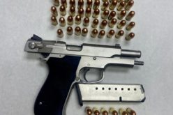 Woodland Police Arrest Two After Fight; Loaded Stolen Handgun Recovered
